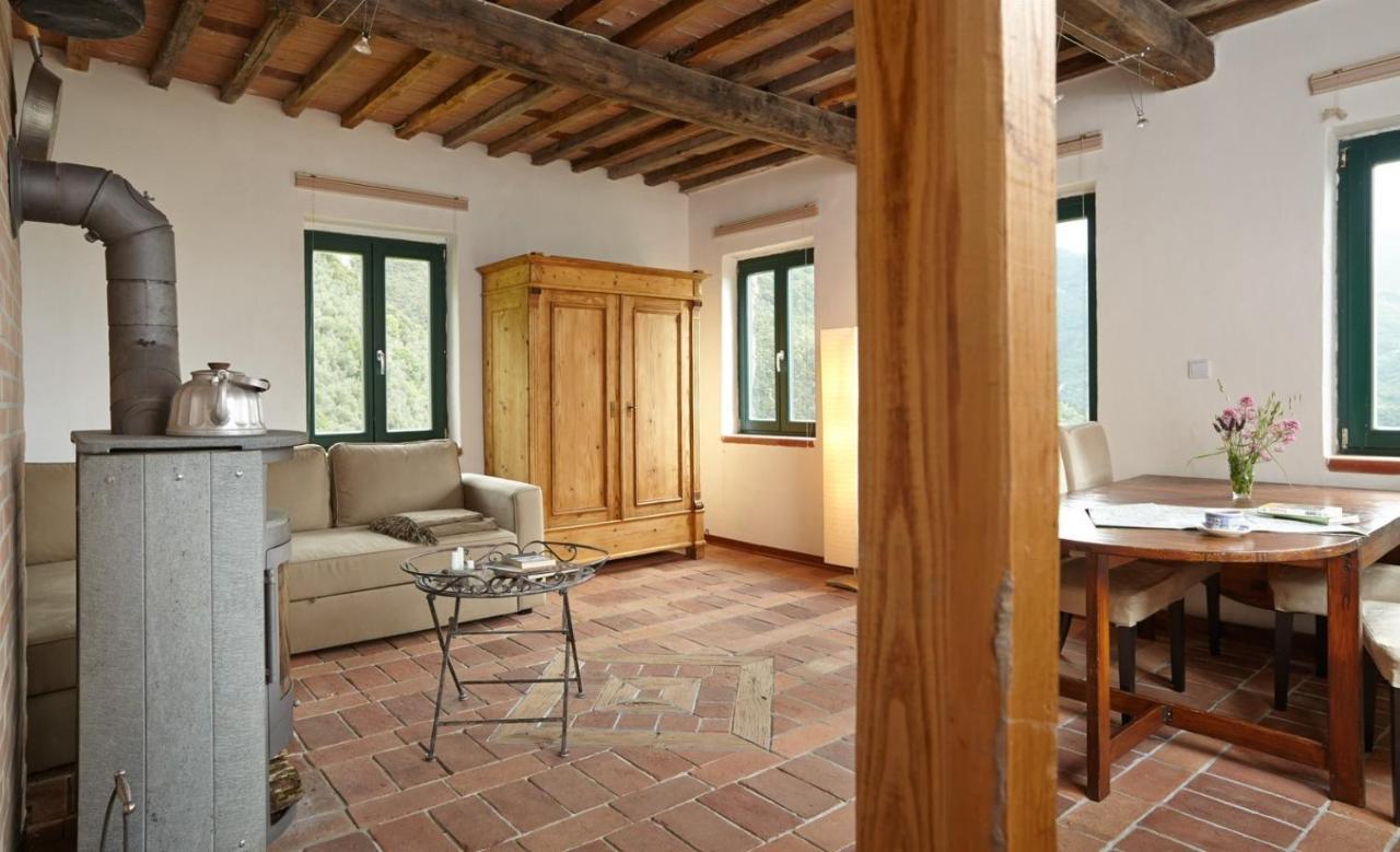 Casa Berti - Urlaub Im Olivenhain Camaiore Kültér fotó